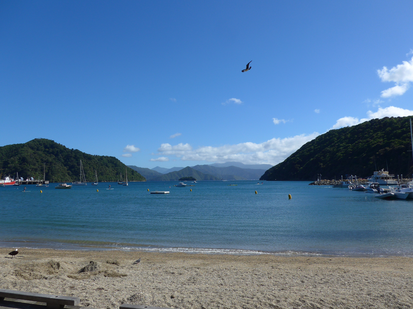 Picton_NZ_Blick in den Marlborough Sound