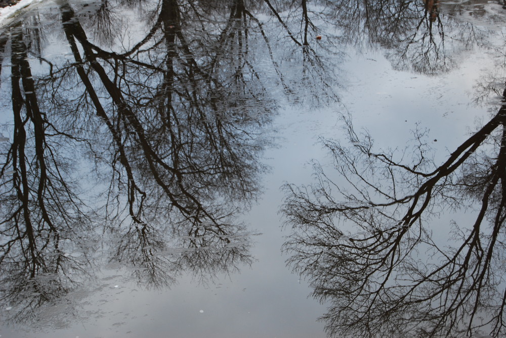 Picture in the river