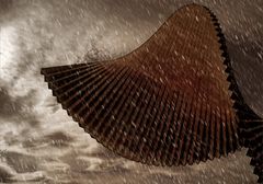 °°° picturepostcard °°°