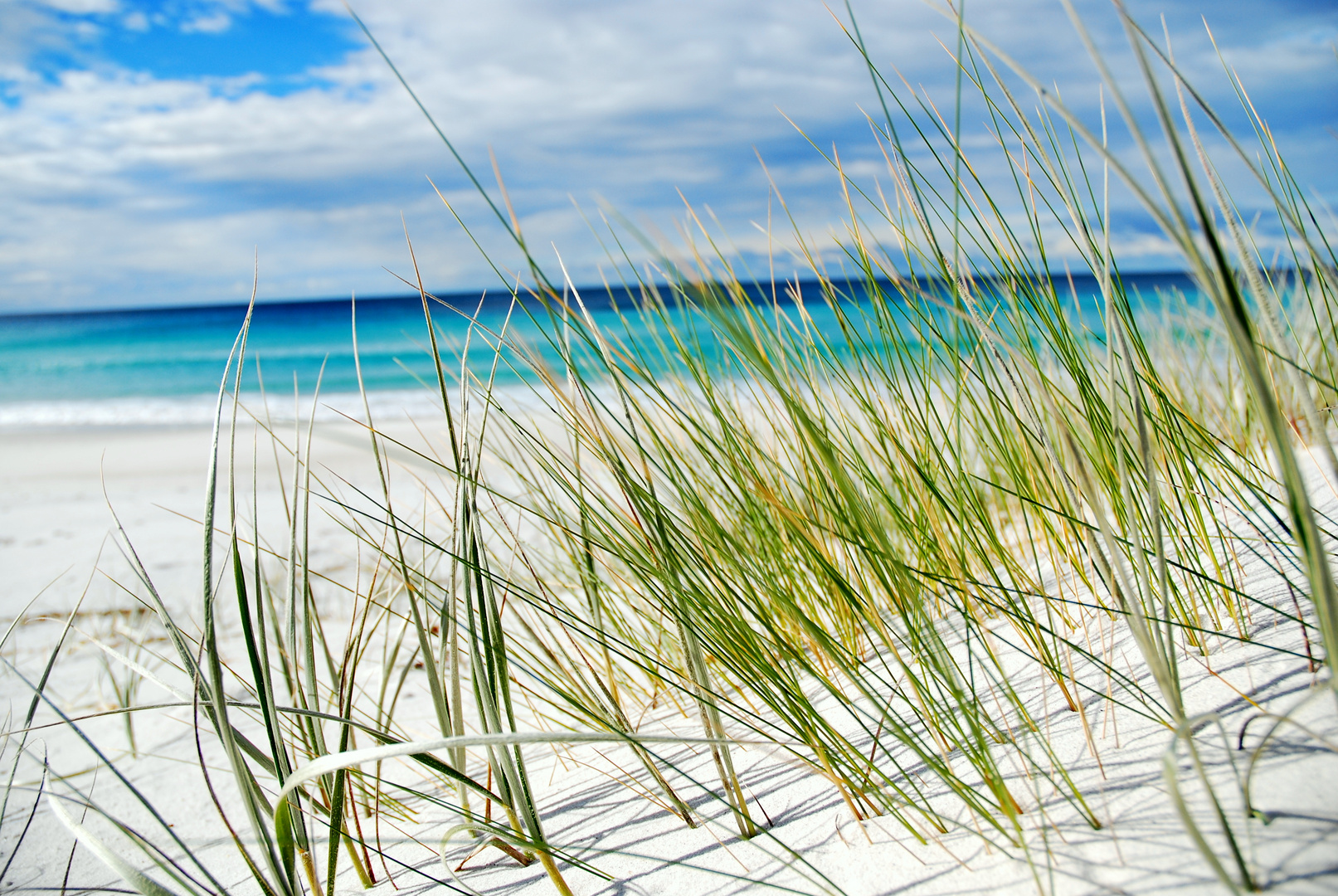 Picturesque scene of a lonely beach