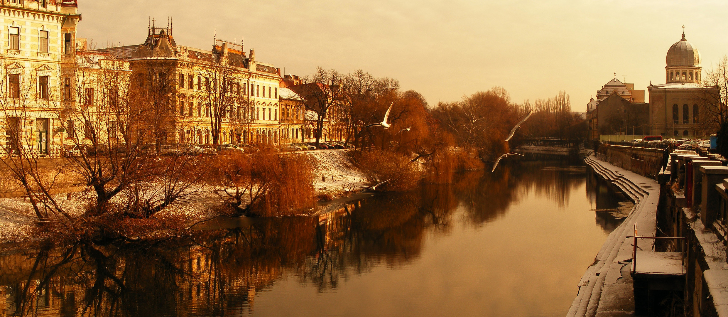 piece of oradea