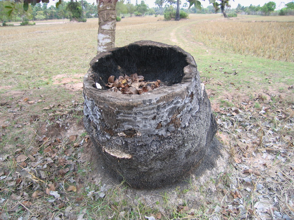 Pied de l'arbre utilisable!