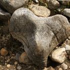 Piedra erosionada en forma de Corazón