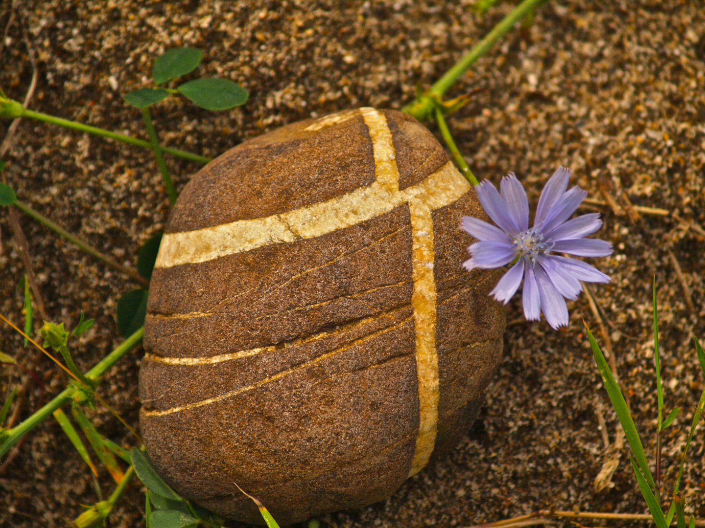 Piedra presumida