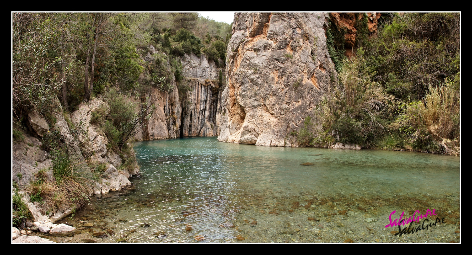 PIEDRA Y VERDE