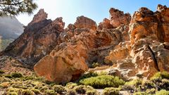 Piedras Amarilla - Tenerife