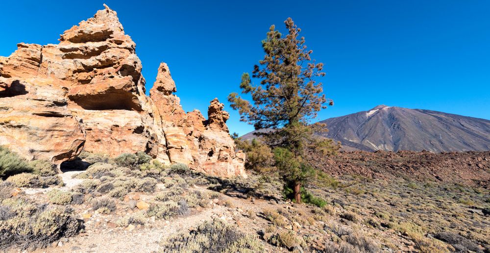 Piedras Amarilla y Teide - Tenerife