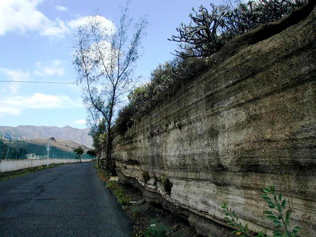 Piedras volcanicas.