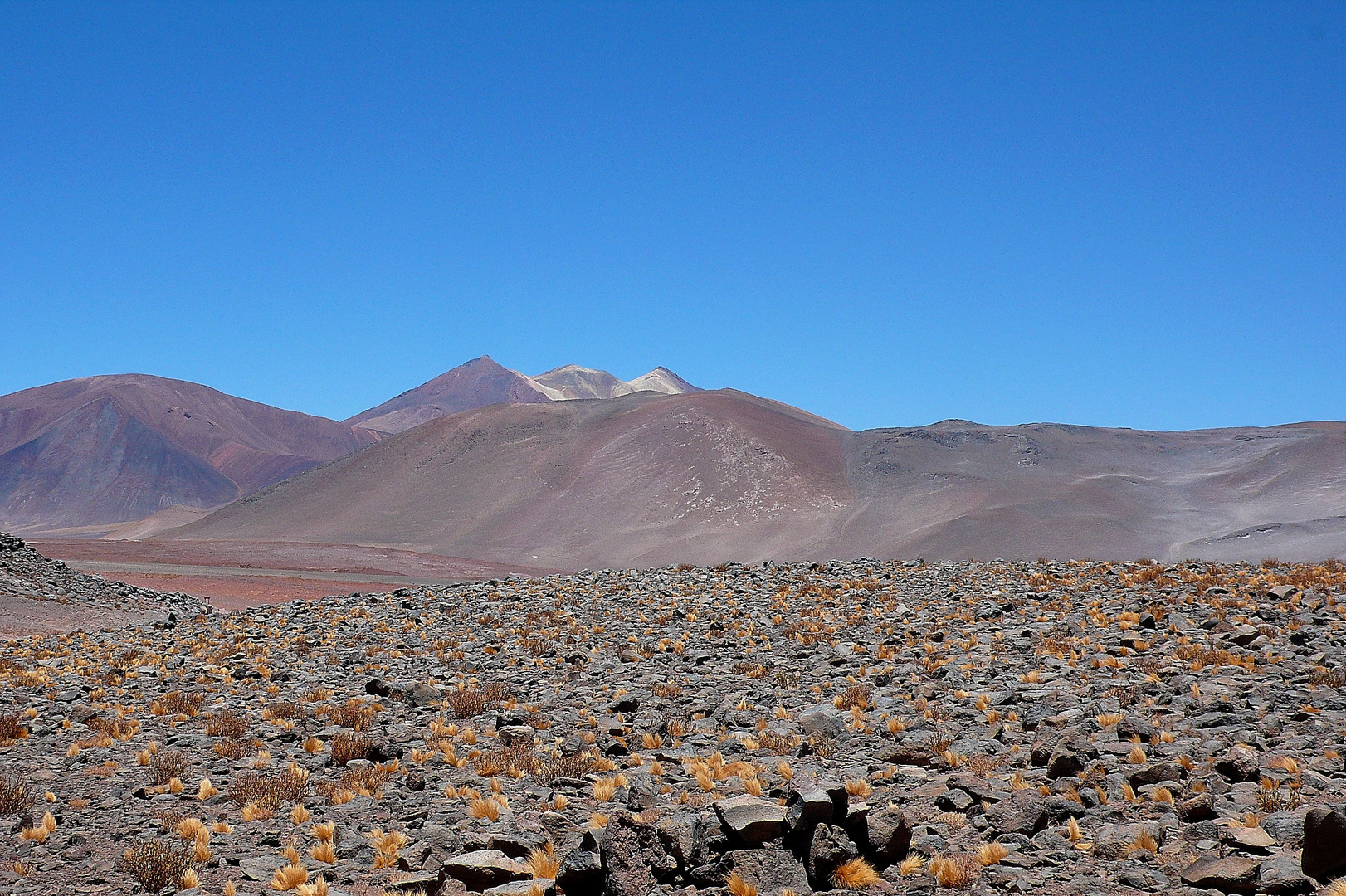 piedras y esparto