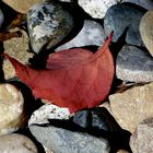 piedras y otoño