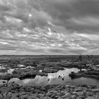 Piedras y reflejos