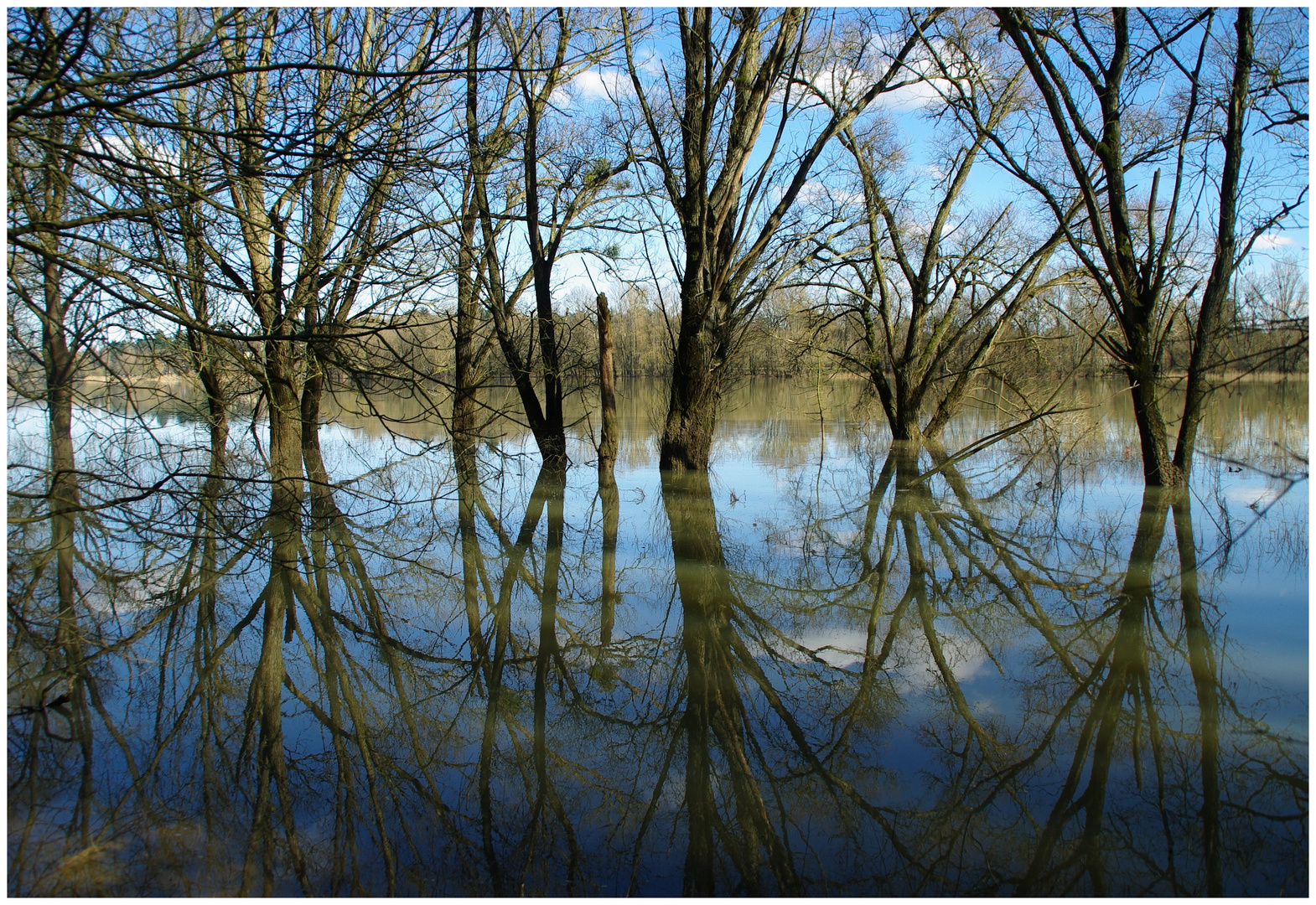 Pieds dans l'eau .