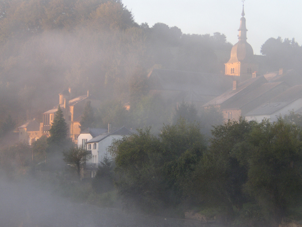 Piégé dans la brume