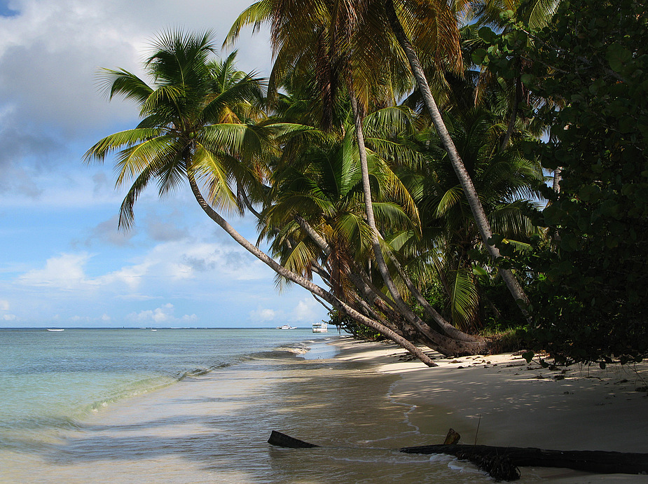 Piegeon Point auf Tobago