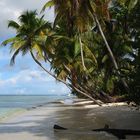 Piegeon Point auf Tobago