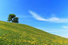 Pielachtaler Frühling