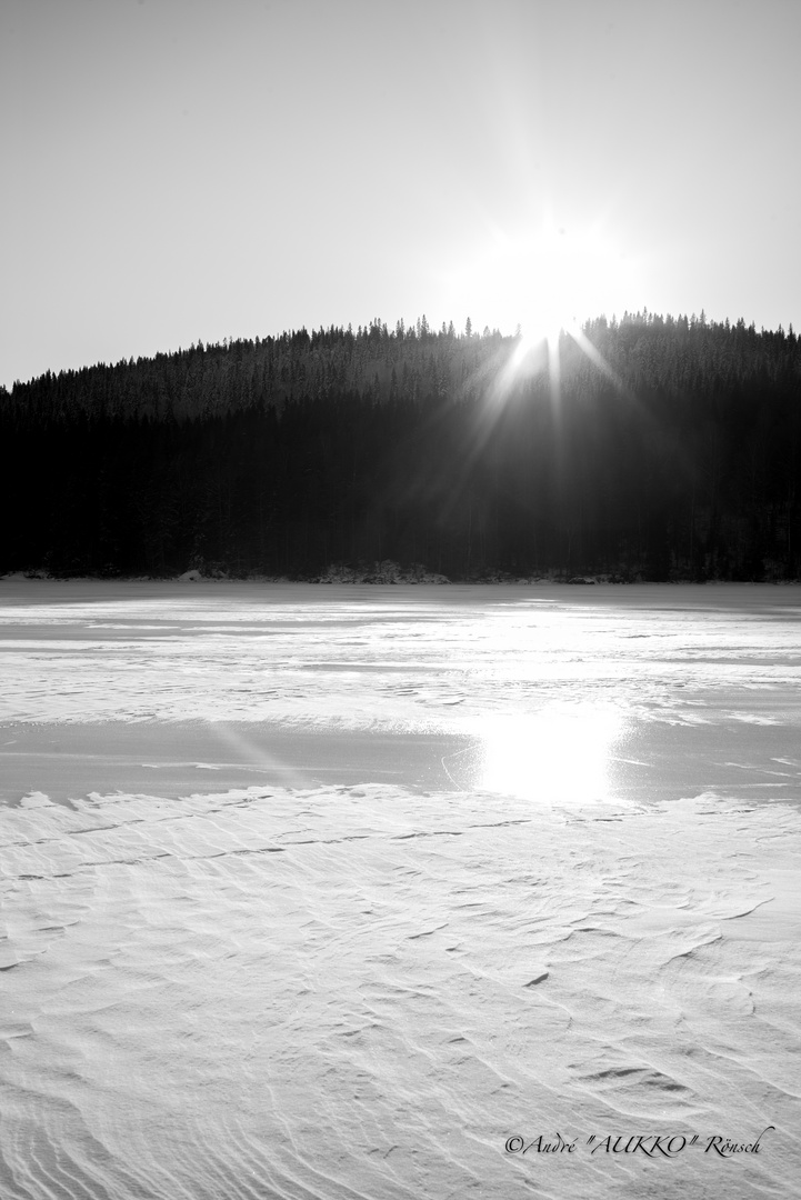 "PIELINEN"