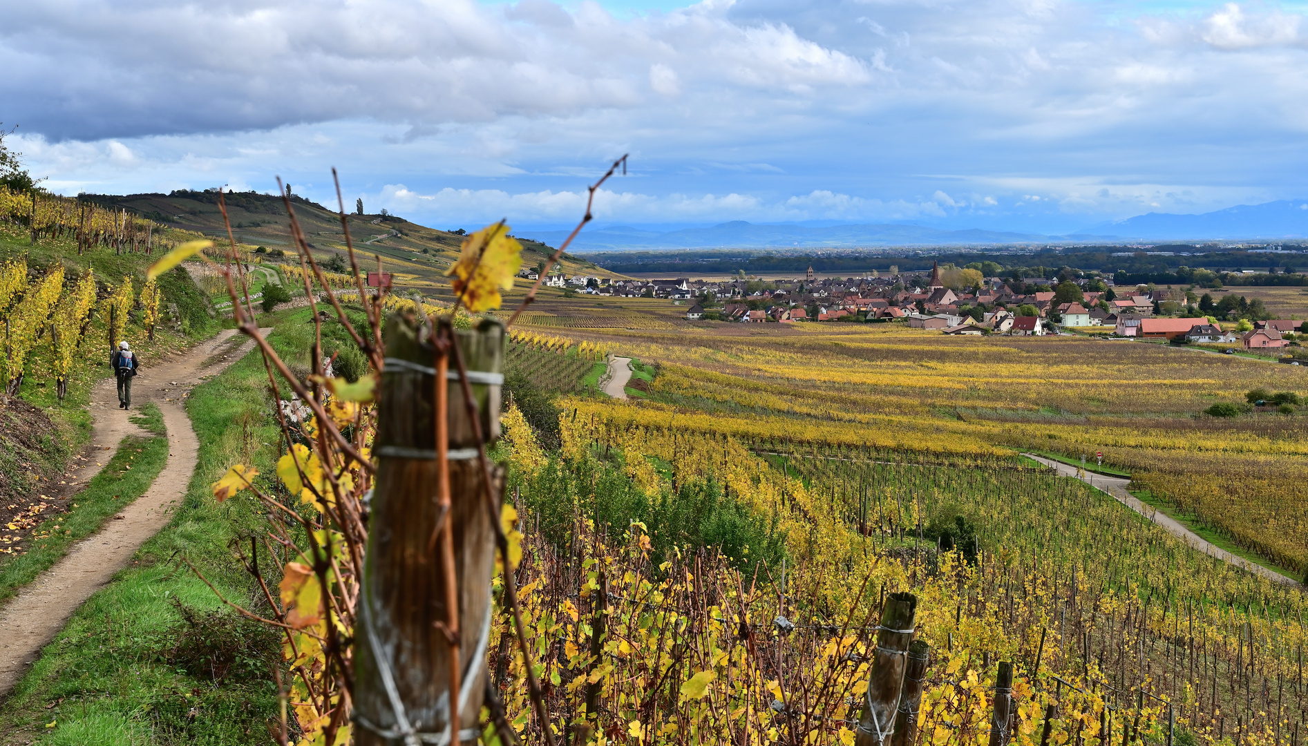 "Piemont der Vogesen"