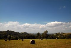 Piemonte / Alta Langa