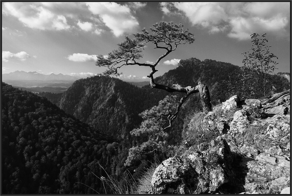 Pieniny (2) - Sokolica