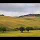 Pienza