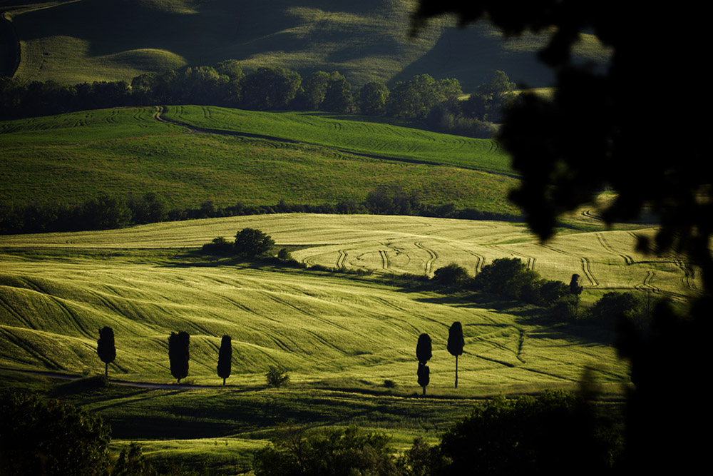 Pienza