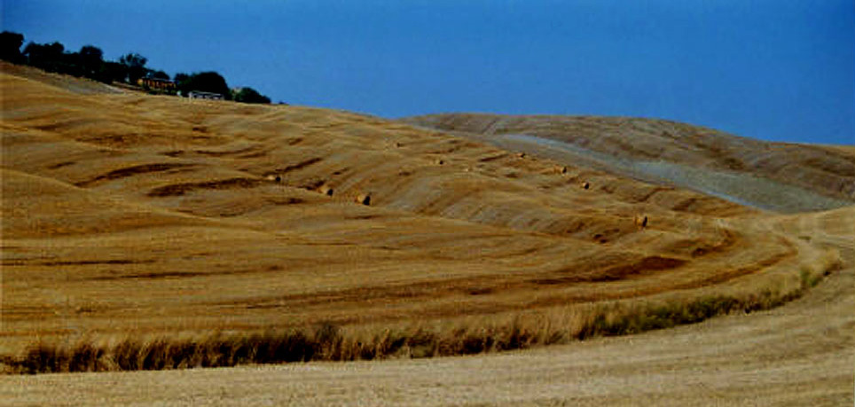 pienza