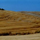 pienza