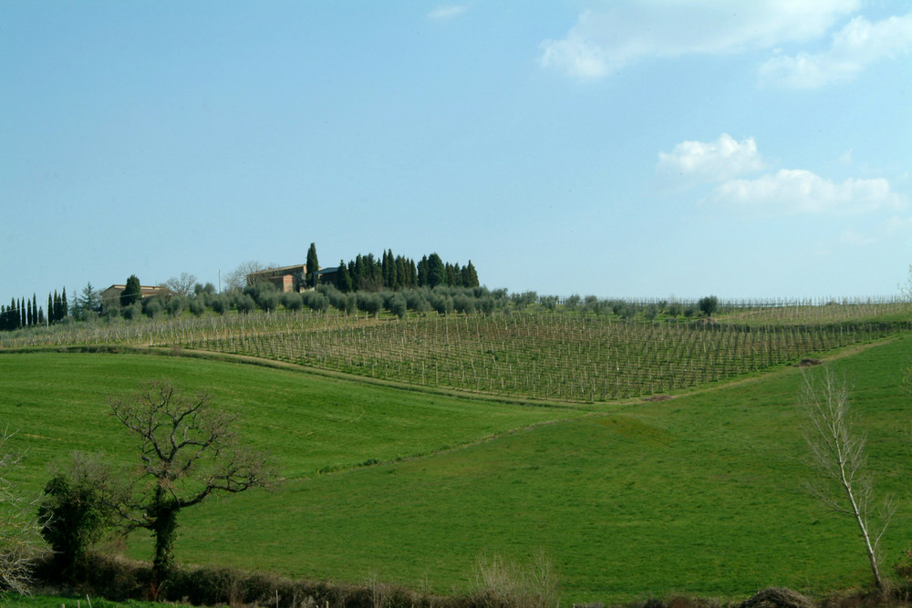 Pienza