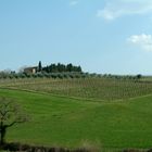 Pienza