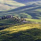 Pienza