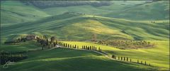 Pienza