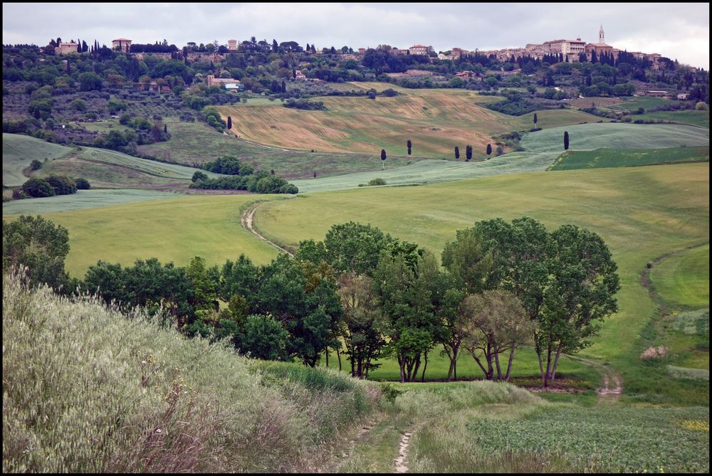 Pienza in Sicht...