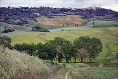 Pienza in Sicht...