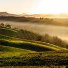 Pienza's Treasures