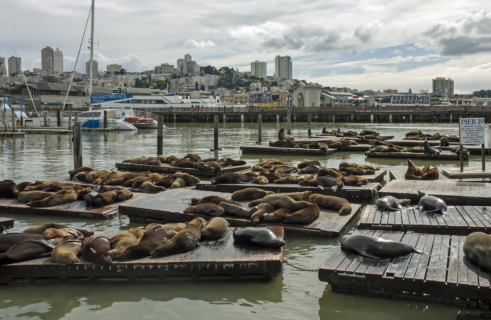 Pier 19  San Francisco 