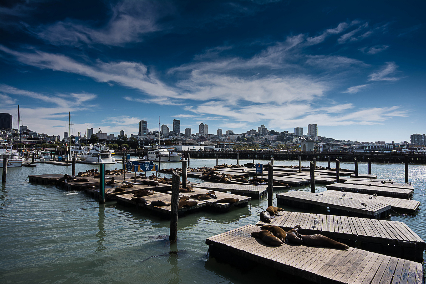 Pier 39