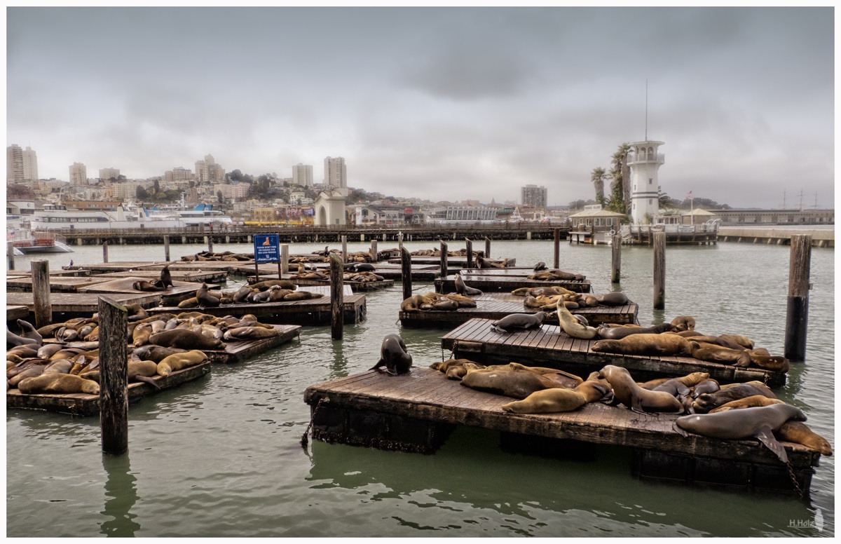 Pier 39