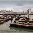 Pier 39