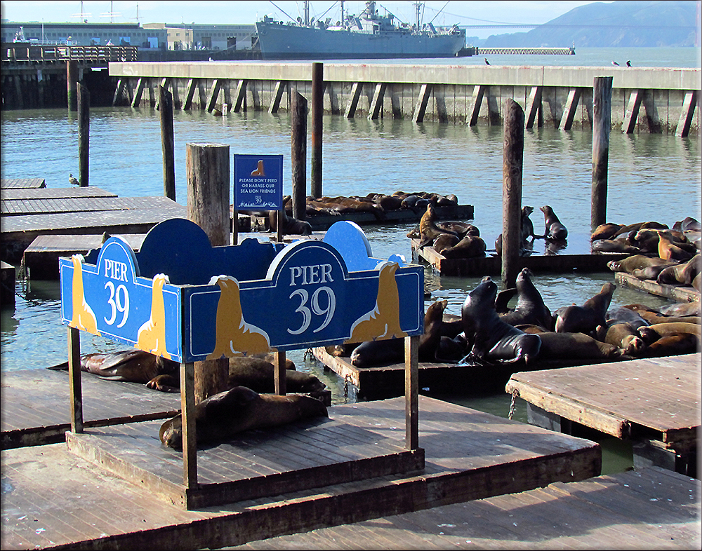 Pier 39