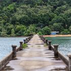 pier in the tropics