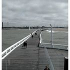 Pier Oostende