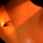 Piercing im Rampenlicht