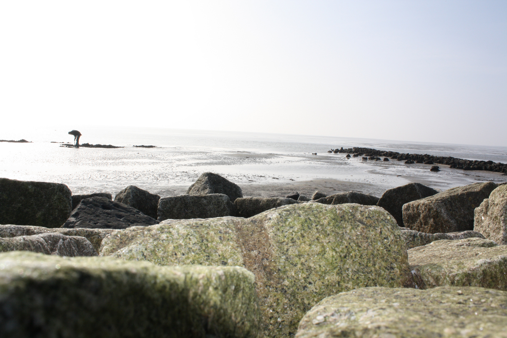 Pieren stechen am Wattenmeer in Terschelling