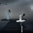 Pierrot l'étoile et la lune 