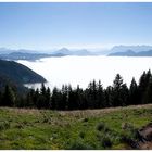 Piesenhausener Hochalm über dem Nebelmeer - Mountainbiketour