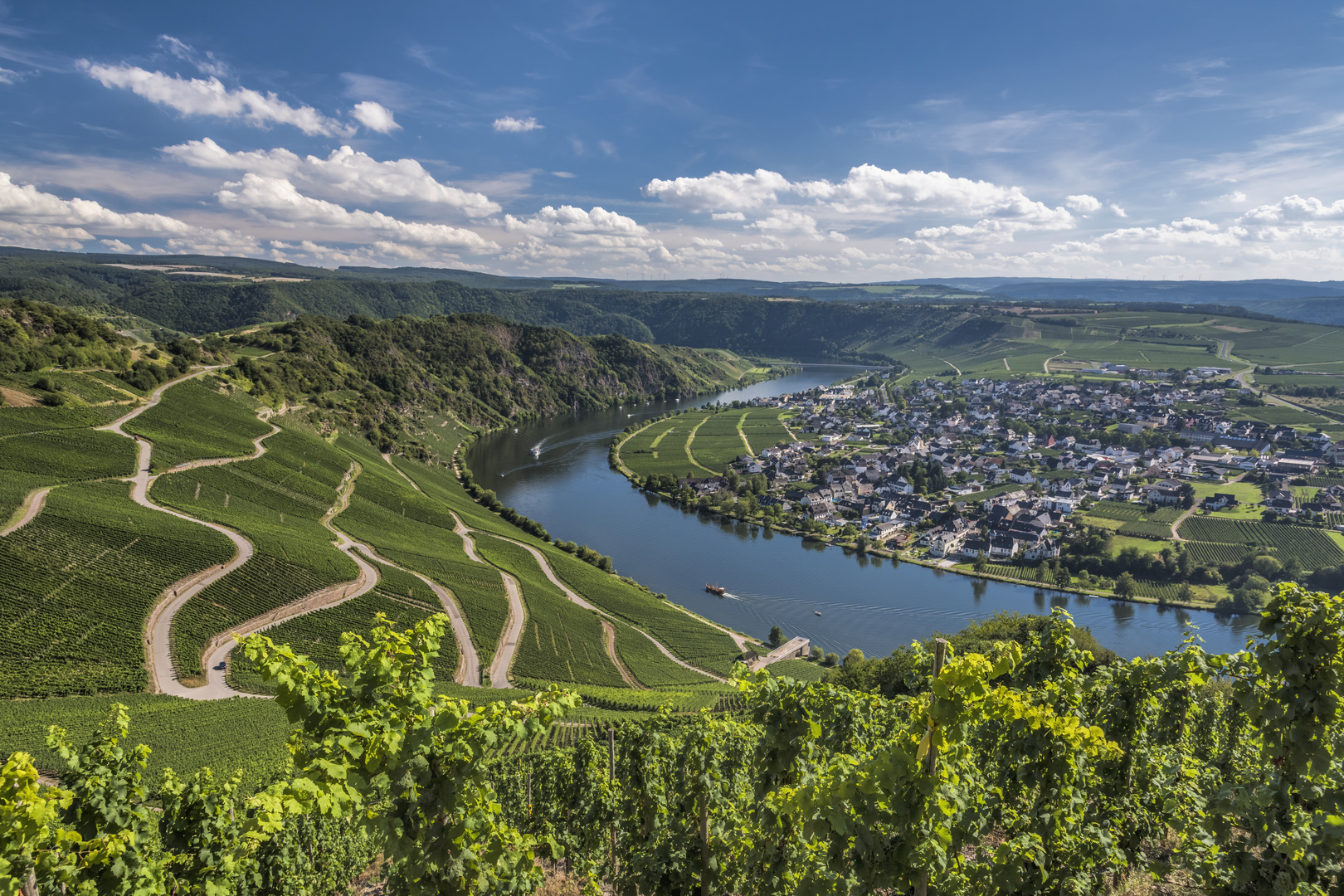Piesport Foto Bild Deutschland Europe Rheinland Pfalz