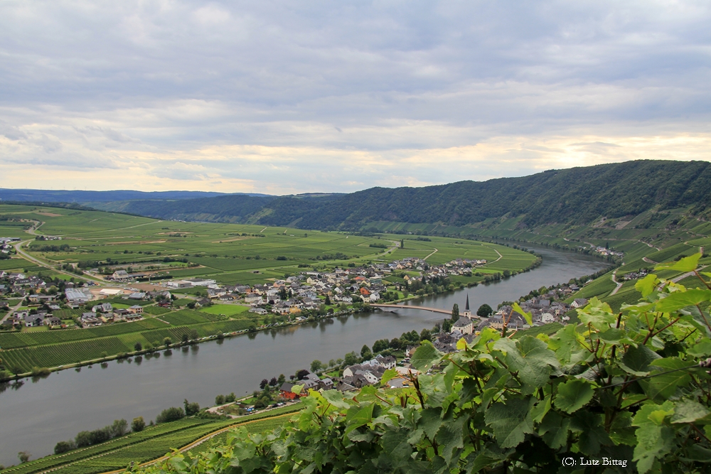 Piesport an der Mosel