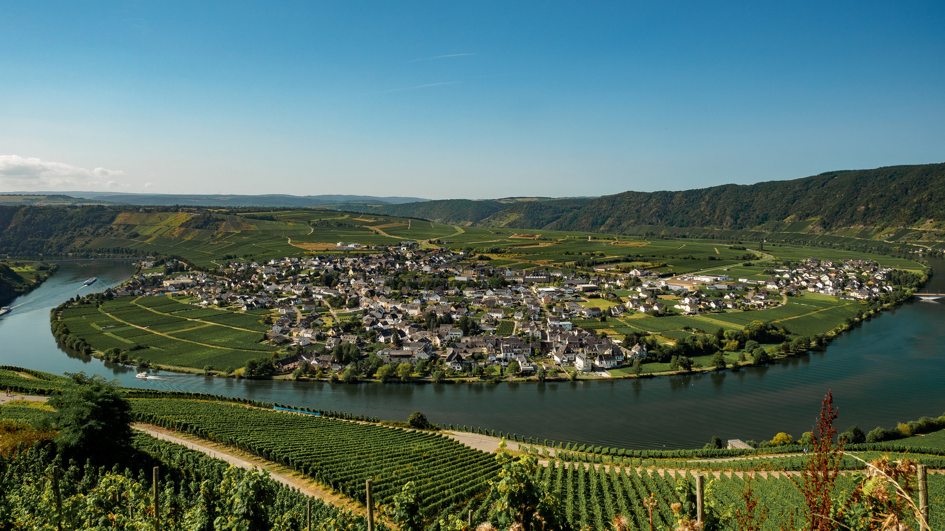 Piesport an der Mosel von der Panoramastraße