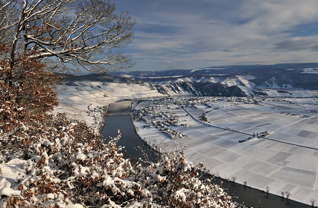 *Piesport im Winter*